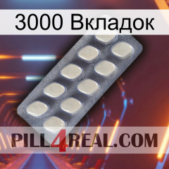 3000 Вкладок 08